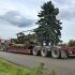 Army D8 Cat 1943 Northside Equipment Transport